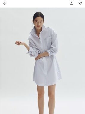 STELLA MCCARTNEY H&M COTTON POPLIN SHIRT DRESS